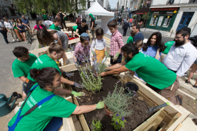 Plantations dans le mobilier-jardinière avec les habitants