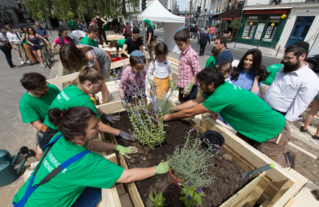 Plantations dans le mobilier-jardinière avec les habitants