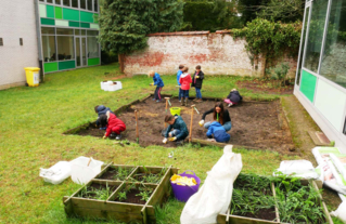 Jardin pédagogique - Ecole Stadmus