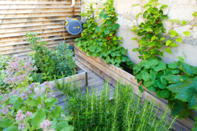 Jardin hors sol cultivé par les enfants