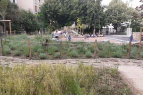 Les zones plantées de l'école maternelle Tandou, Paris 19e