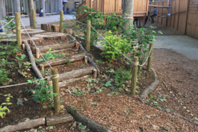 Cour Oasis de lécole élémentaire Keller, les buttes plantées, mai 2021