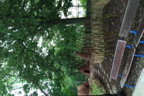 Coin forêt, école élémentaire Maryse Hilsz - Paris 20e