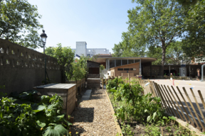 Jardin potager à l'école élémentaire Jeanne d'Arc