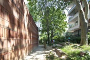 Le coin sauvage de l'école maternelle Dolent - juillet 2021