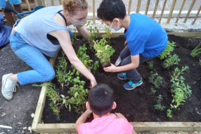 Chantier plantations à l'école élémentaire Jeanne d'Arc