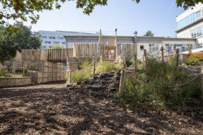 Les buttes végétalisées de l'école élémentaire Maryse Hilsz - septembre 2021